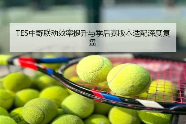 TES中野联动效率提升与季后赛版本适配深度复盘